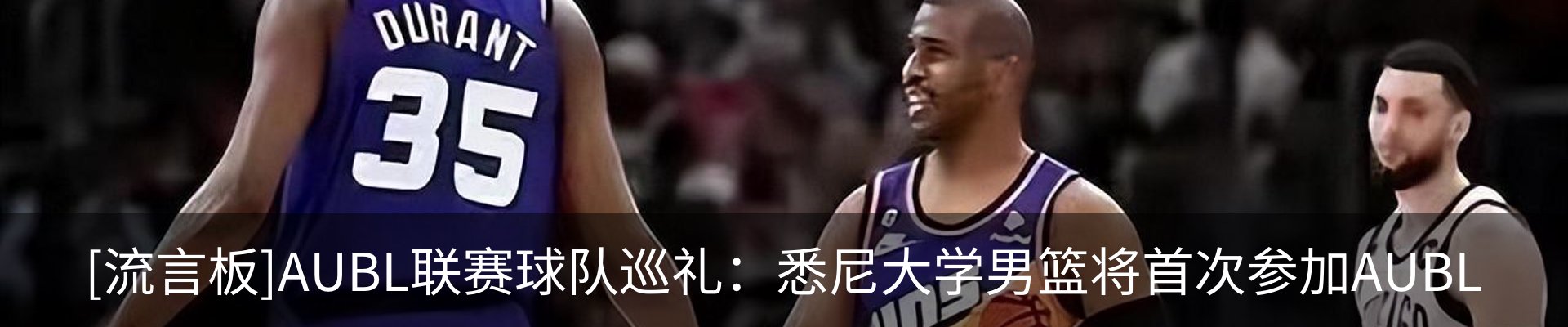 新闻动态